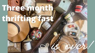 3 Month Thrifting Fast OVER | What did I thrift?