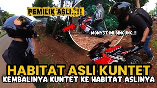 Download Lagu Habitat asli kuntet❗akhirnya kunter bisa merasakan habitat aslinya guys MP3