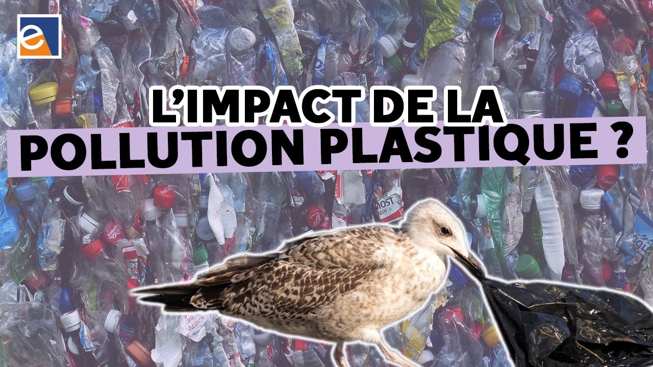 Pollution plastique : comprendre pour agir [Ika Paul-Pont]