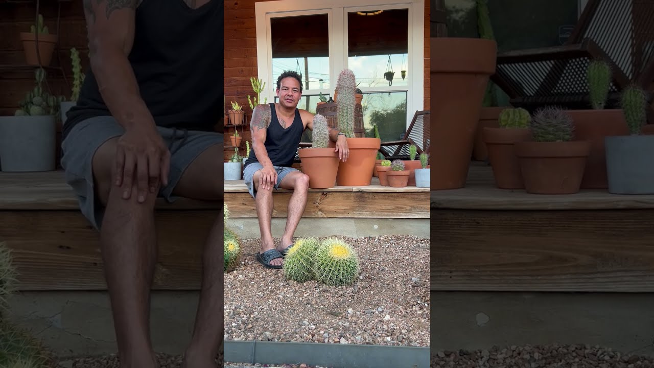 This Customer S Reaction Made My Week Cactus