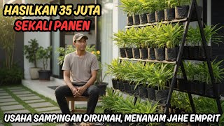 Download lagu Amazing‼️ Small Capital, 35 Million Profit‼️ How to Grow Emprit Ginger at Home for Beginners”‼️ ‼...