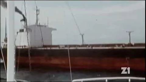 Proč postihla Británii ropnou havárii?