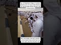 Muhammad Bin Mursal S Execution Mother Meeting Him Last Time Saudi Mother Shortsvideo Viral