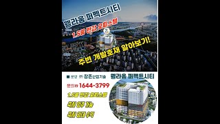 #shorts 김포 풍무 웰라움퍼펙트시티1.5룸 반값 오피스텔 주변 게발호재 알아보기