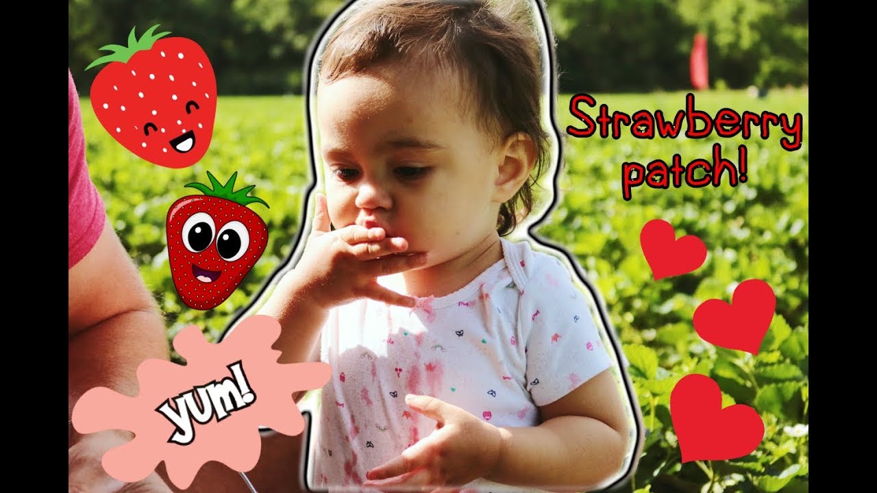 VLOG Strawberry Picking in Louisiana! YouTube