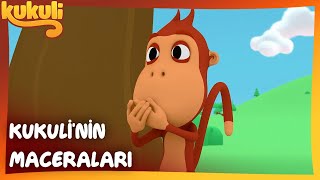 Kukulinin En Sevilen Maceraları 31. Bölüm Çocuklar Için Blutv Kids