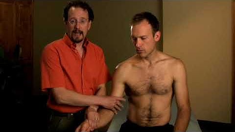 Biceps Brachii Palpation