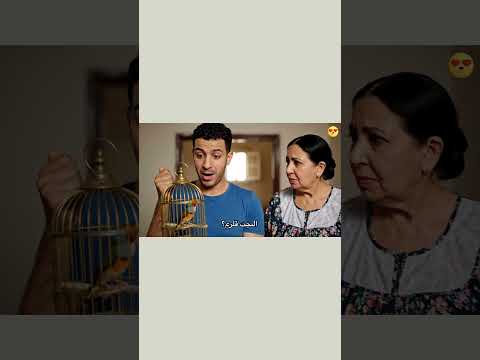 المسطول جاب لأمه عصفورين واحد بيغني والتاني ساكت قالها ده الملحن 