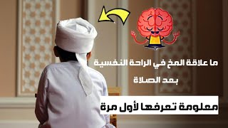 ما علاقة المخ في الراحة النفسية بعد الصلاة | معلومة تعرفها لأول مرة