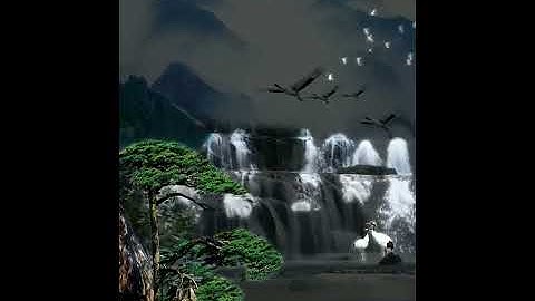 New dynamic lightbox