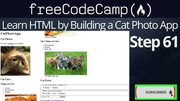 Learn HTML by Building a Cat Photo App - Step61