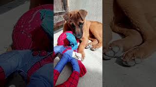 #trendyoutube #suscribeteanuestrocanal