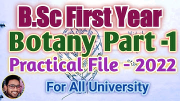 B.Sc First Year Botany practical file 2022-23 | B.Sc Botany practical file | Botany practical file |