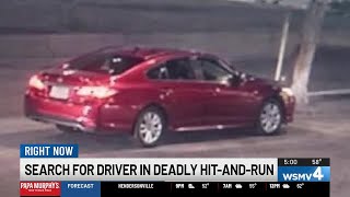 Search for driver in deadly hit-and-run