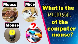 Singular and plural nouns (Part 3 of 3) | English