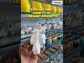 Explore wide variety of Ceramic Products