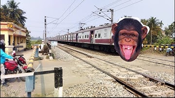Chimpanzee Headed Katwa-Howrah Emu Local Train Dangerous & Furious Moving Throughout At Railgate