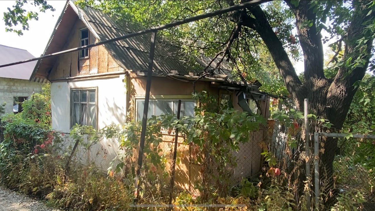 Заброшка |Дачный влог |Vlog