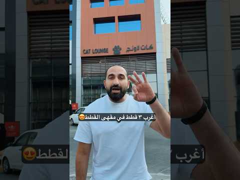 أغرب قطط في مقهى القطط بجده
