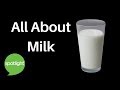 All About Milk | practice English with Spotlight