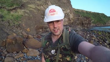 Fossil Hunting June 2025 at Sandsend #ammonites #fossils