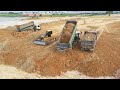 Big Shantui Bulldozer Pushing Dirt ​​With Heavy Hyundai Dump Trucks Unloading