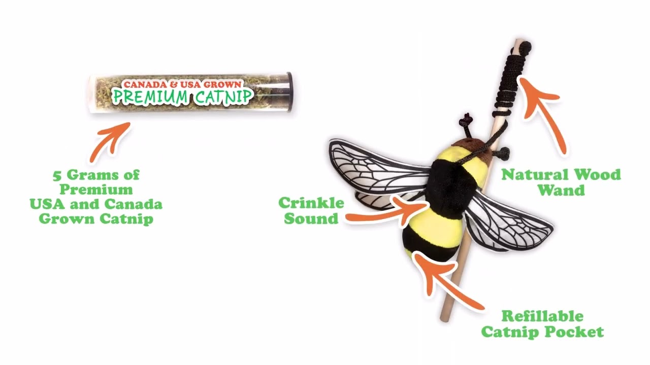 Get Buzzed Refillable Bee: Interactive Cat Toy for Endless Fun
