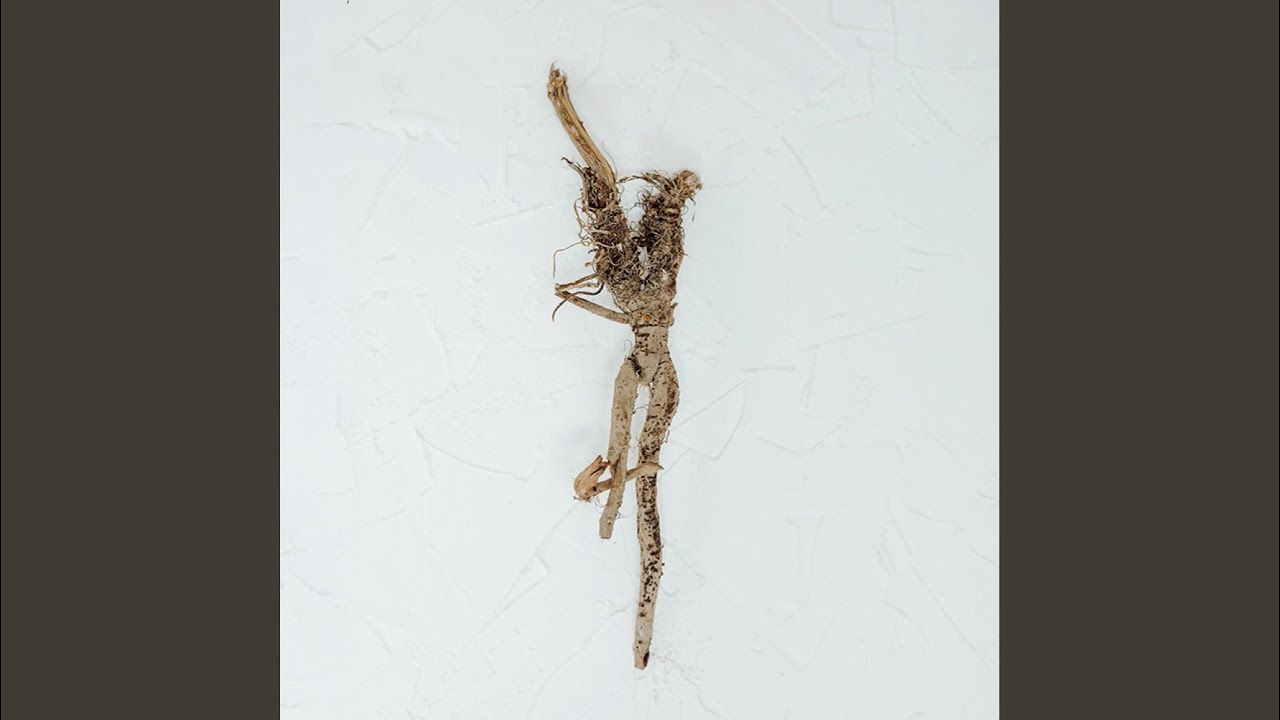 Robin (Extended Mix)