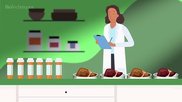 Modeling fatty liver disease in vitro