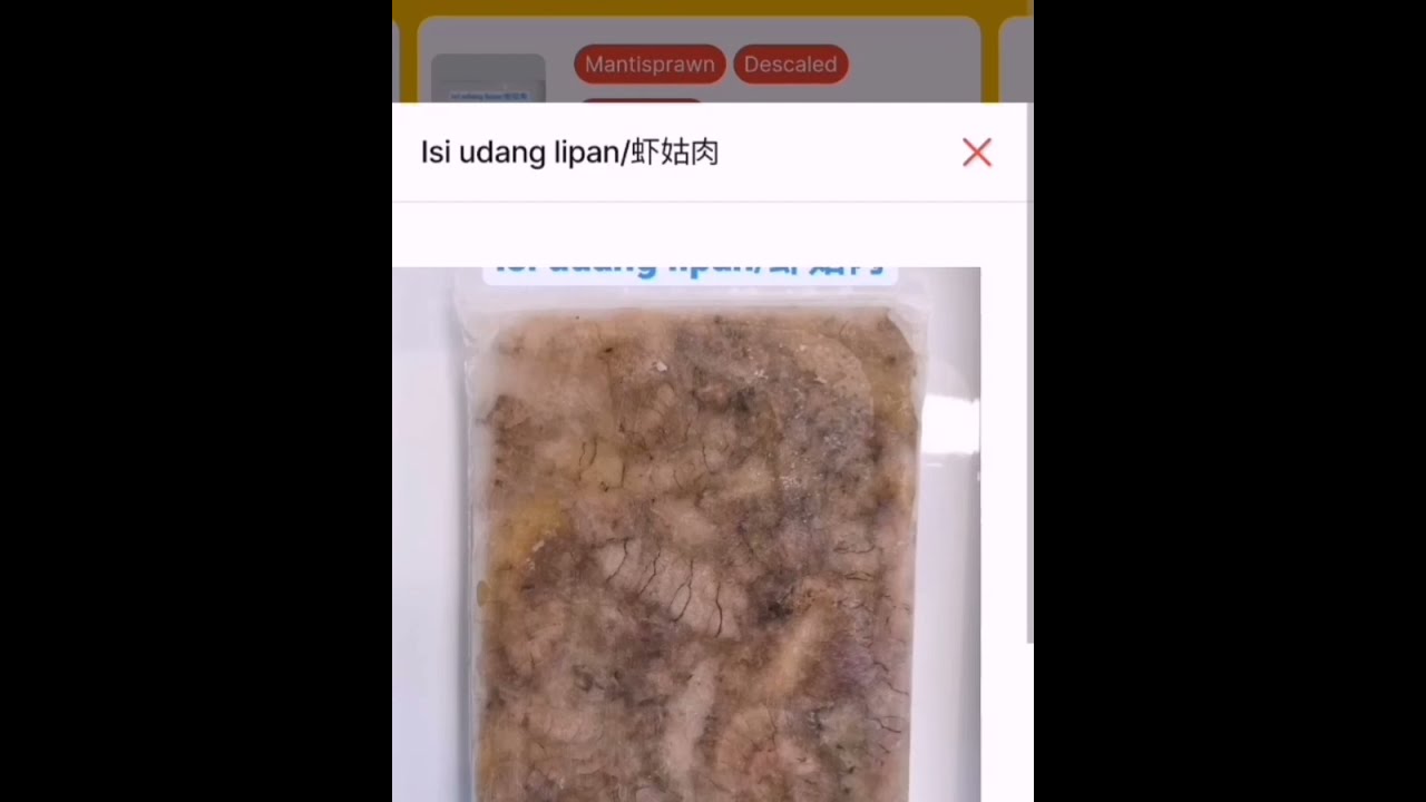 Mantis Shrimp Pack In Langkawi Andaman Fish Mart Order Online And Delivery