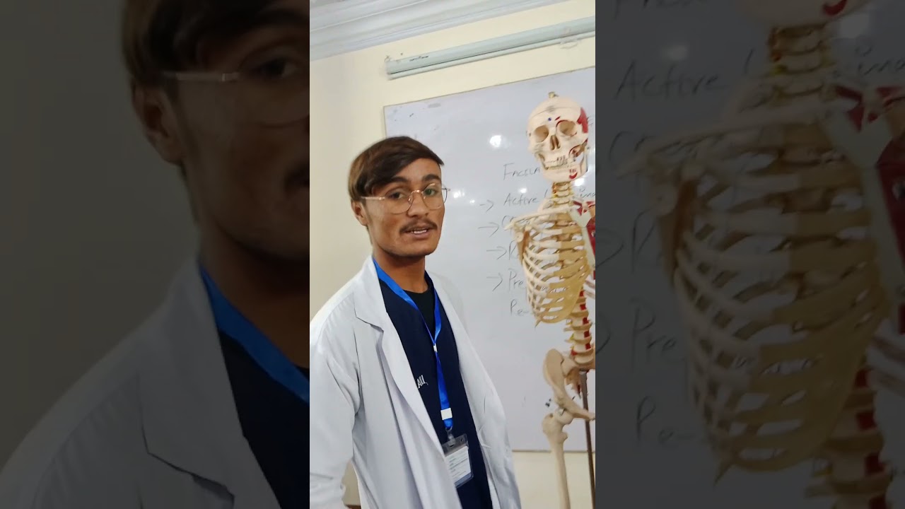 skeleton system.🩺👨‍⚕️ 