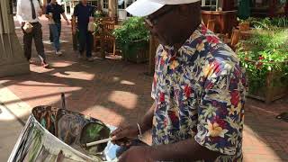 Mse Productions Steel Drum Sandy Solo