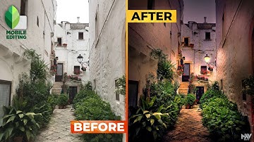 DAY to EVENING Manipulation in Snapseed Mobile App | SNAPSEED TUTORIAL | Android | iPhone