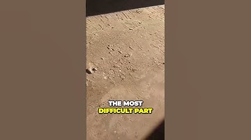 Mastering Tile Removal & Thin Set (Good Luck!) #diy #tile #funnyvideo