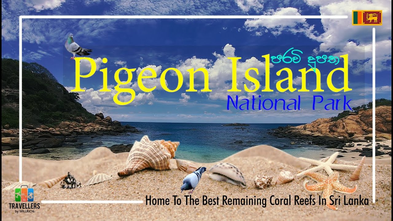 Pigeon Island National Park | Trincomalee | Sri Lanka | Travellers by Willrich