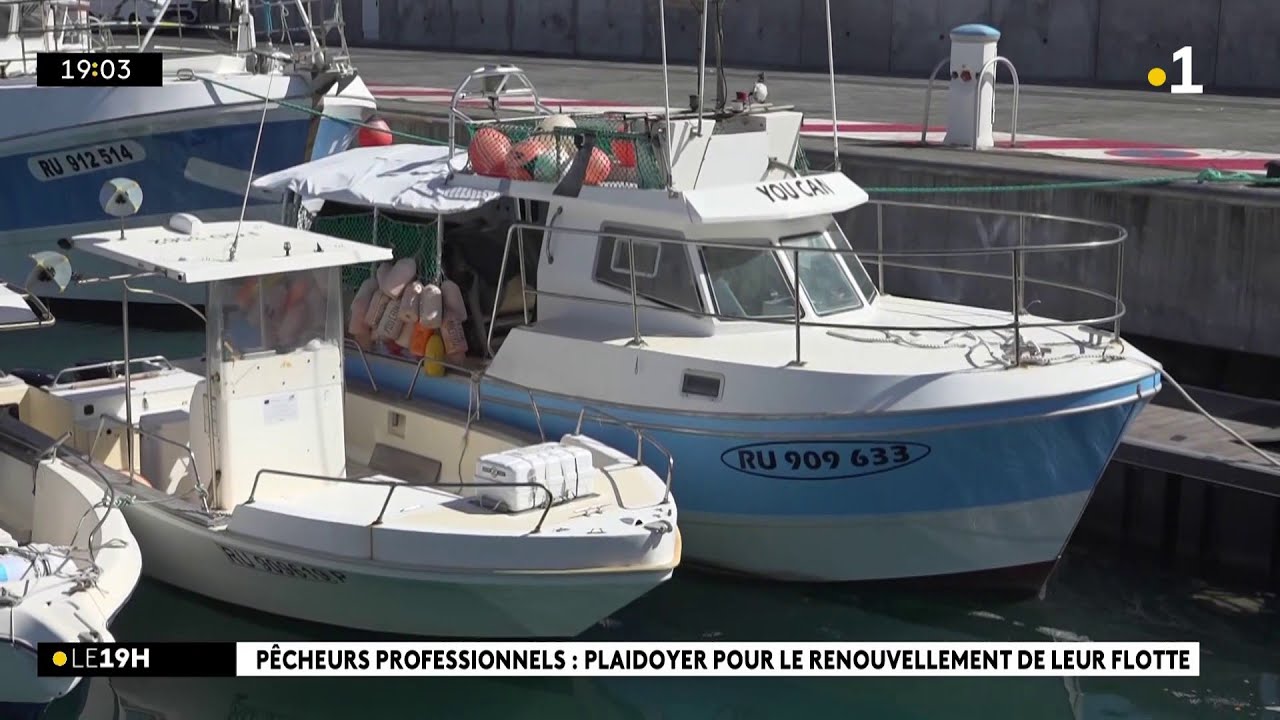 Les pêcheurs professionnels de La Réunion attendent le renouvellement de leur flotte depuis 15 ans.