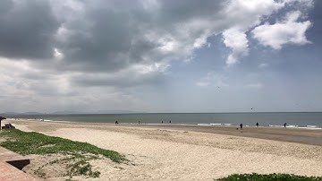 Câu cá đục biển Vũng Tàu