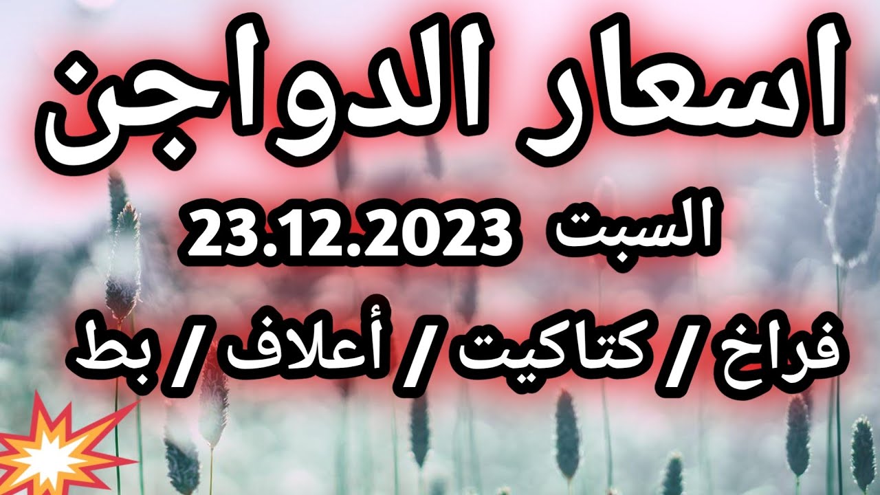 اسعار الدواجن اليوم السبت 23.12.2023 #poultry #فراخ #دواجن اسعار الدواجن اليوم السبت 23.12.2023 #poultry #فراخ #دواجن