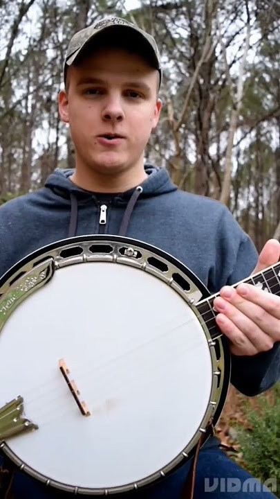 $150 Vs $1,900 Banjo! Can You Hear the Difference?