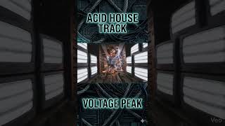 VOLTAGE PEAK: Raw 303 Basslines Going Crazy ⚡ #acidhouse #berlintechno