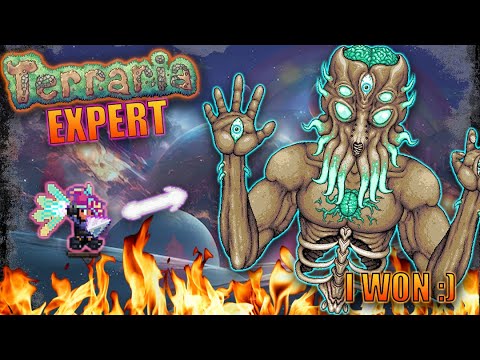 I Finally Beat Expert Mode Terraria | EXPERT Terraria EP. 23 - YouTube