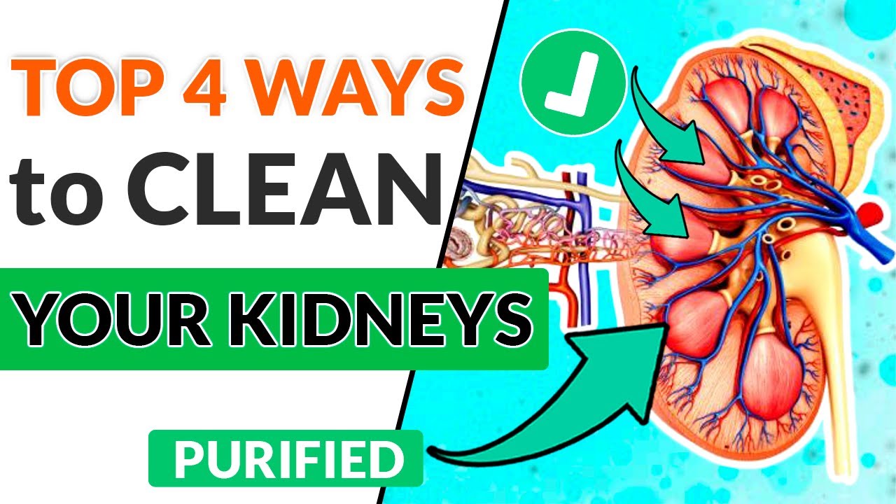 Clean your kidneys naturally FROM HOME Natural remedies for kidneys cleansing DO THIS YouTube