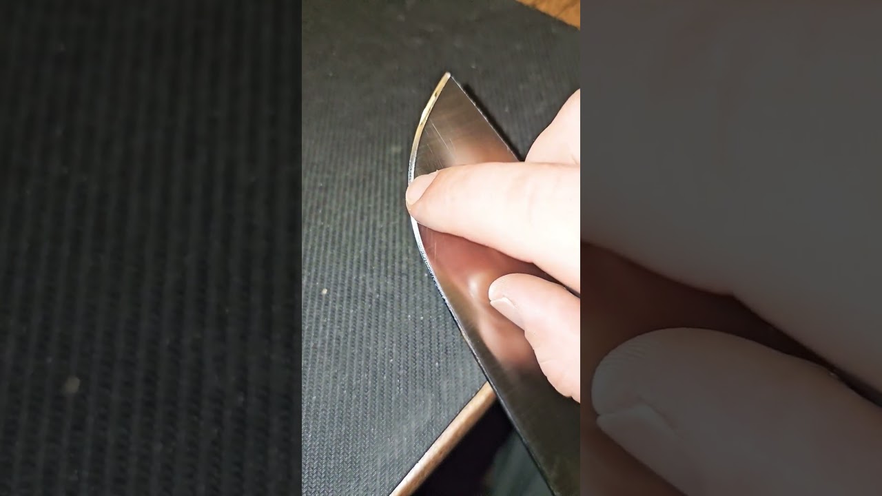 WTG Mt Lion K329 Update and final thoughts!