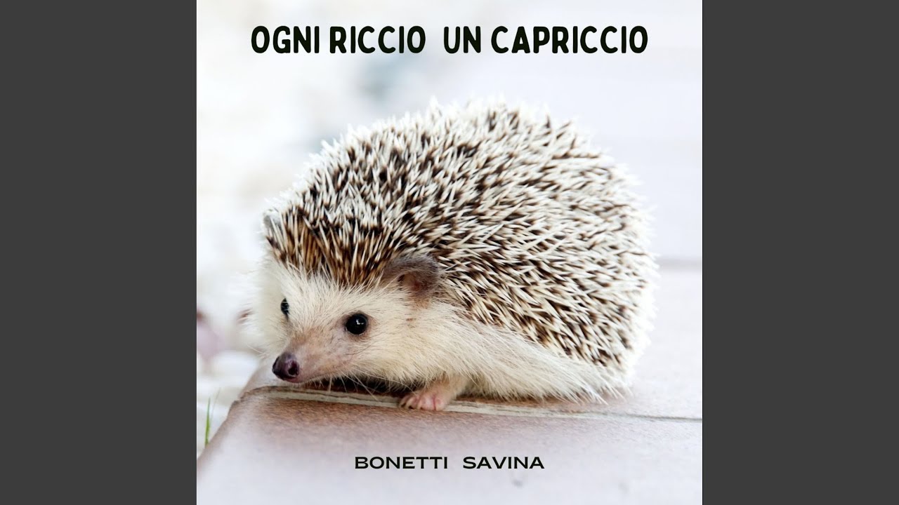 Watch Sembra Impossibile on YouTube Watch Sembra Impossibile on YouTube