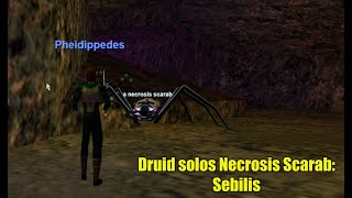 Druid Solos Necrosis Scarab, Project 1999 EverQuest