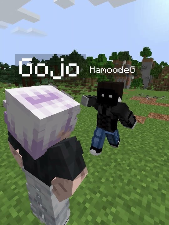Gojo vs HamoodeG