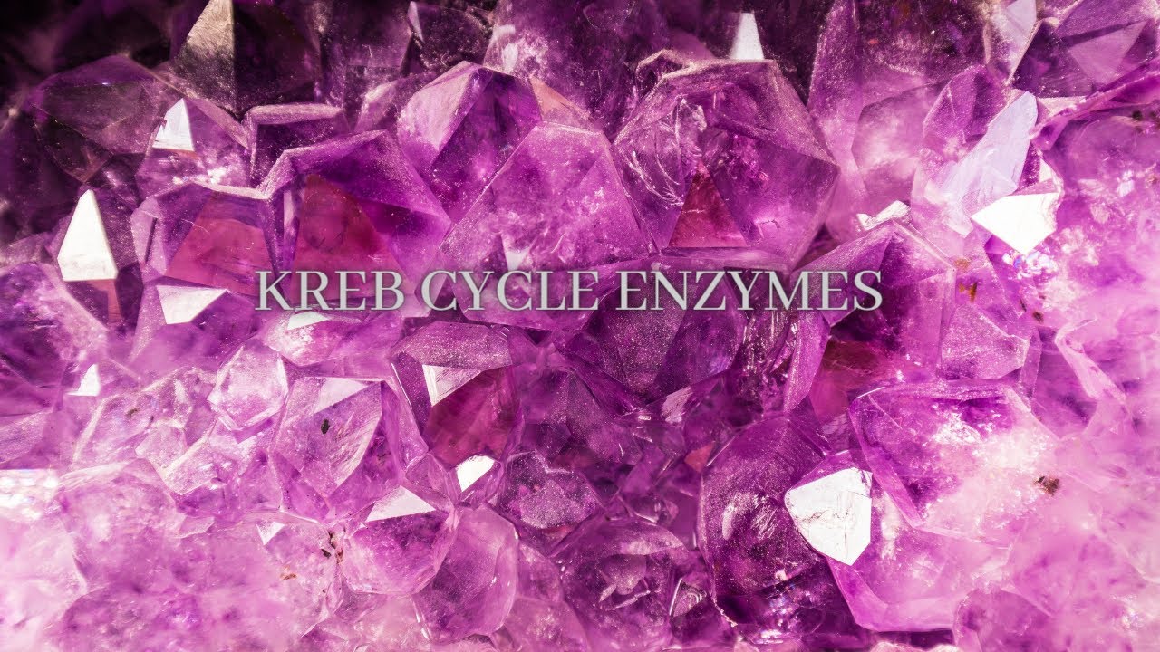 Mnemonic to Learn Kreb Cycle Enzymes | TCA Cycle Trick | Kreb Cycle |Smart Chemist