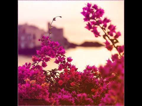 شيلة ياللي خذيت القلب بشويش بشويش لا تنزعه كله وحالي هشاشي أداء عبدالله الدوسري