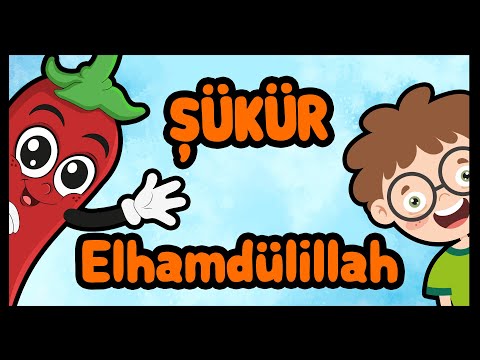 ŞÜKÜR ELHAMDÜLİLLAH (2019 En Yeni Çocuk İlahisi) Bibercik TV