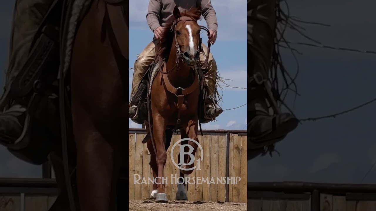 If you want a horse to want to go to the right, work them to the left